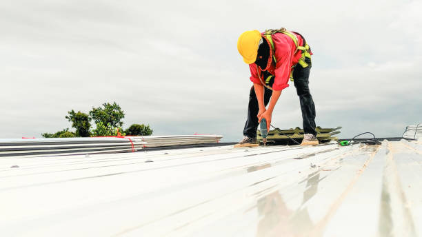 Best Metal Roofing Installation  in Eielson Af, AK