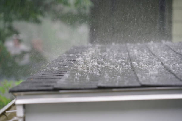 Professional Roofing Services in Eielson Af, AK